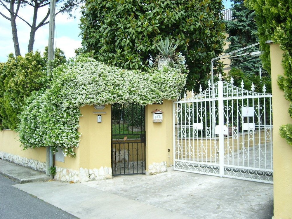 Photo 31