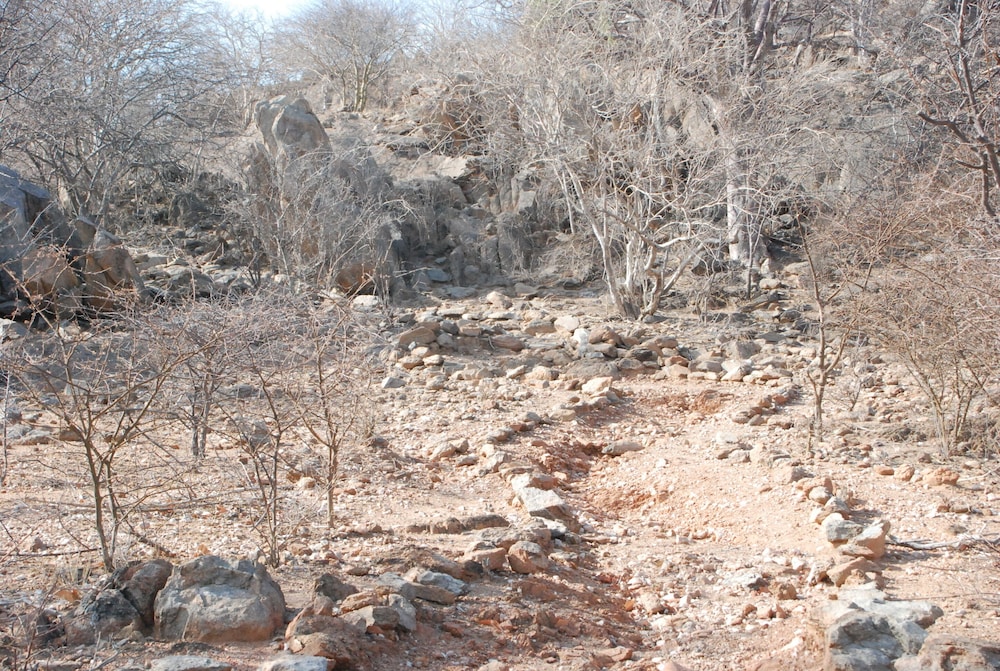 Oppi-Koppi Restcamp