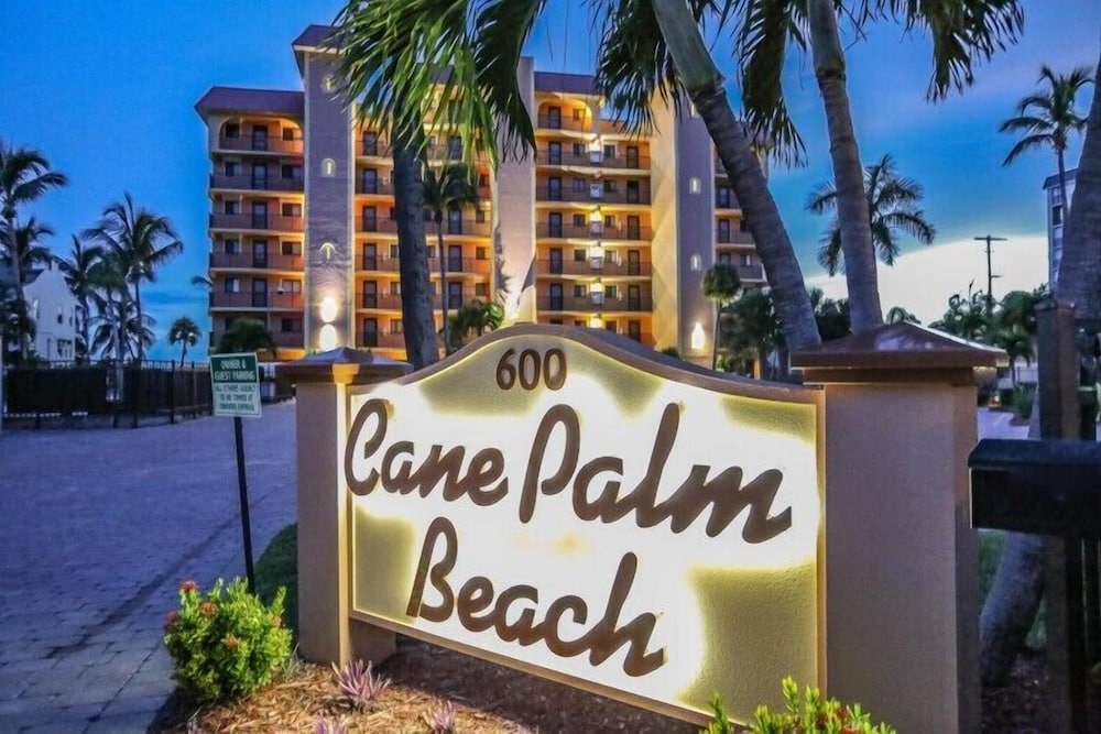 Cane Palm