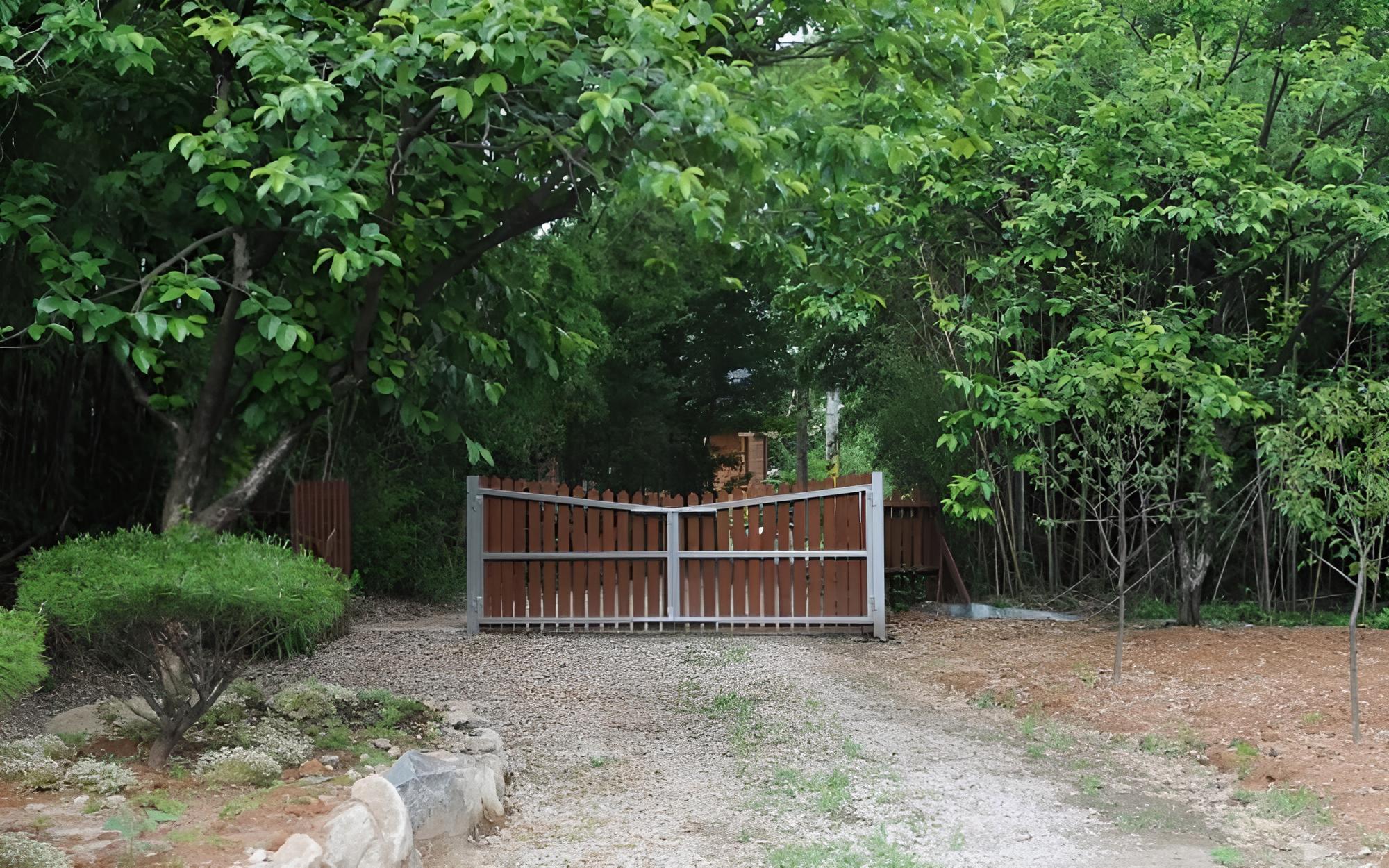 Photo 19