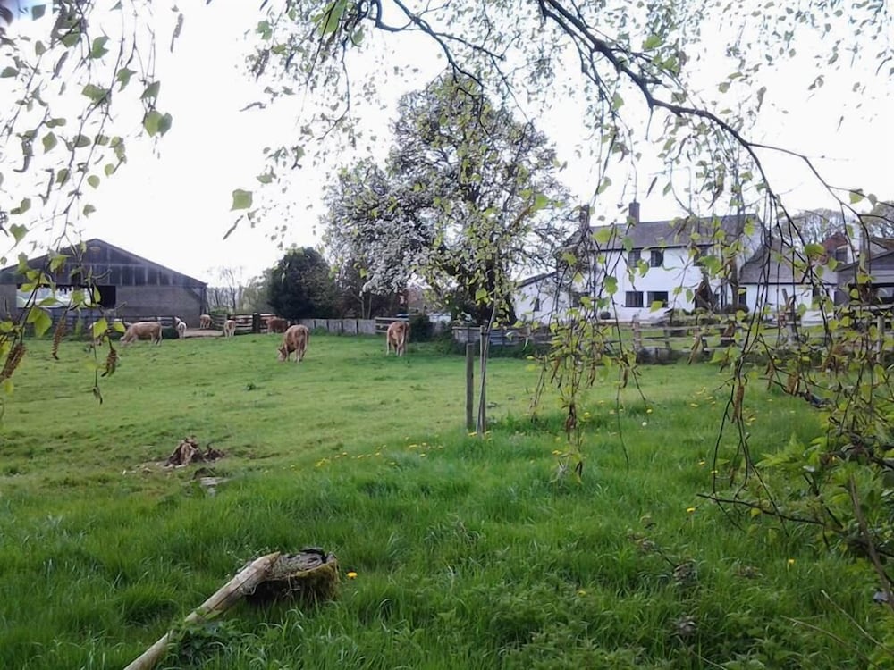 Thorps Farm Bed and Breakfast