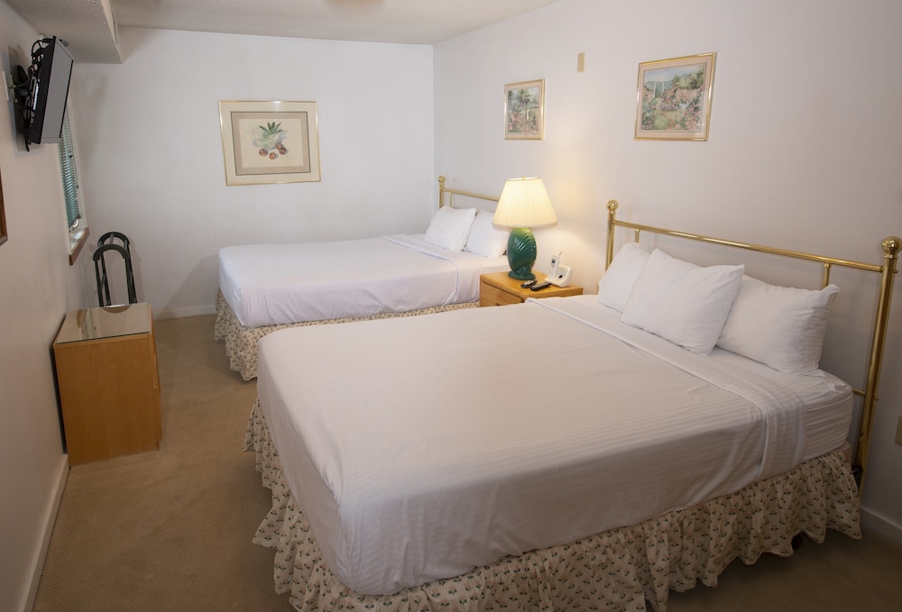 Mountain Lodge at Okemo, A Vail Resorts Property view 3