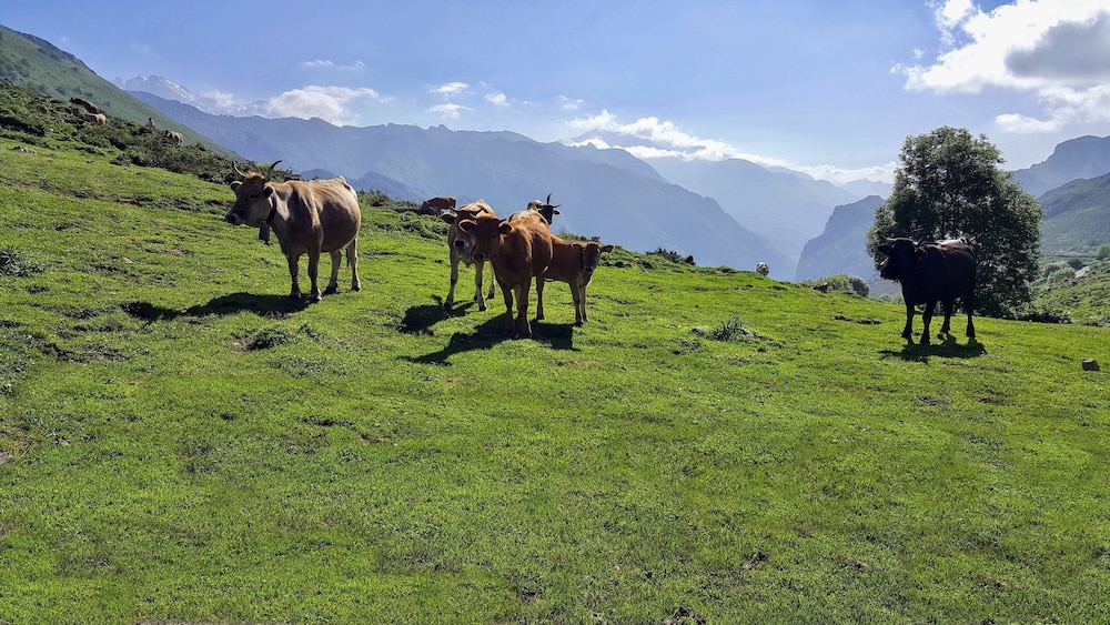 Conjunto de Turismo Rural La Tablá