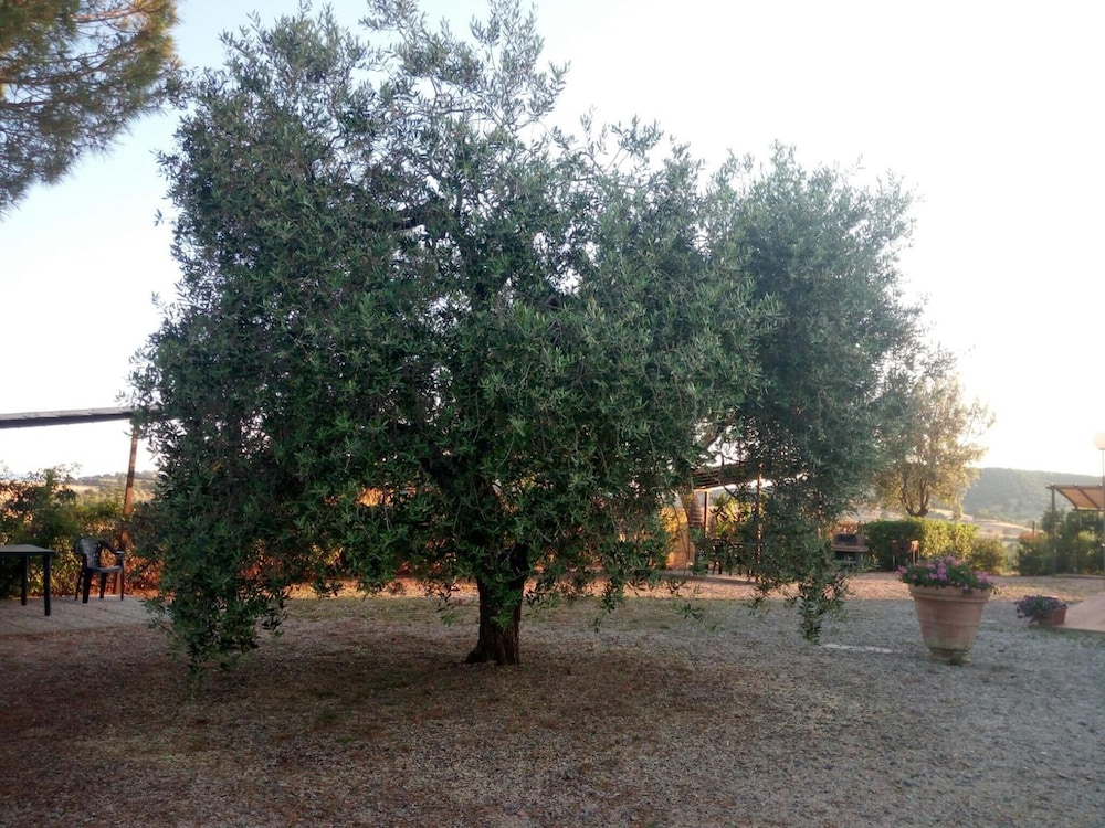 Agriturismo Boschetto di Montiano