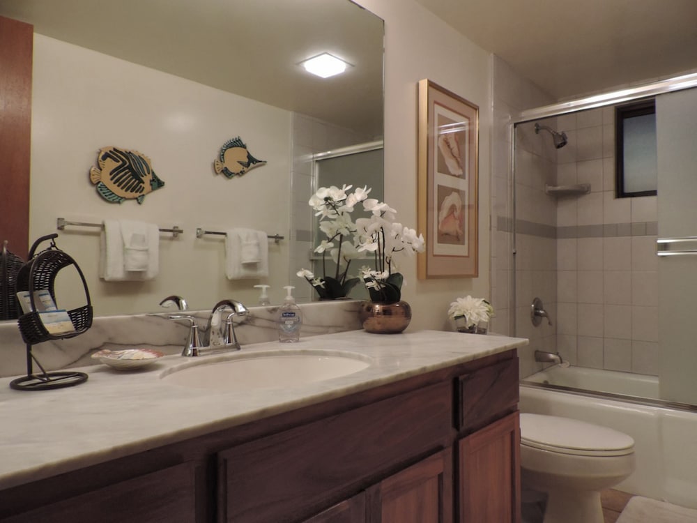 Polo Beach Club Vacation Rentals - APlus Resorts