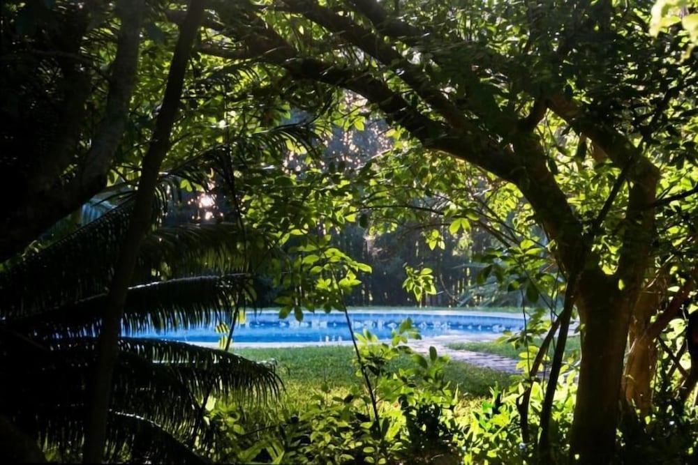 Palmeiras Lodge