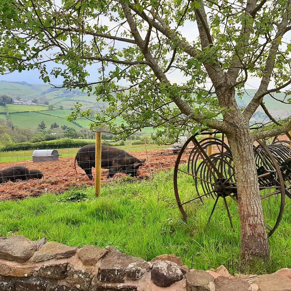 1 Double Bedrooms Cottage view 4