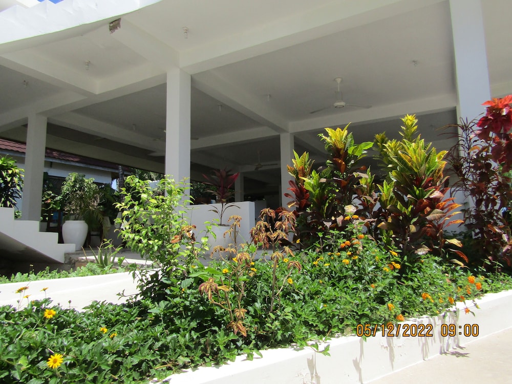 Photo 46