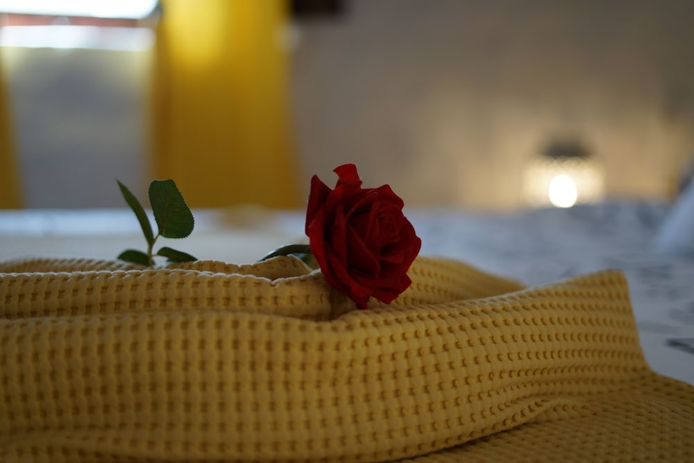 Guest House Torre de Arriba