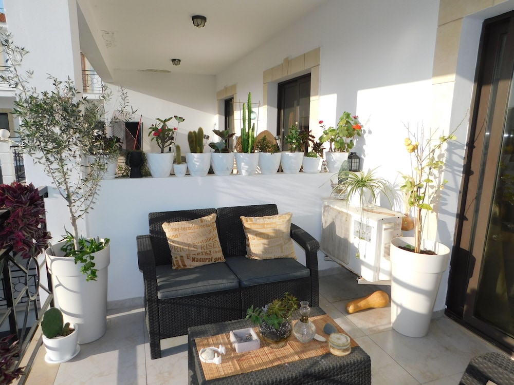 Paramount Gardens Resorts C202