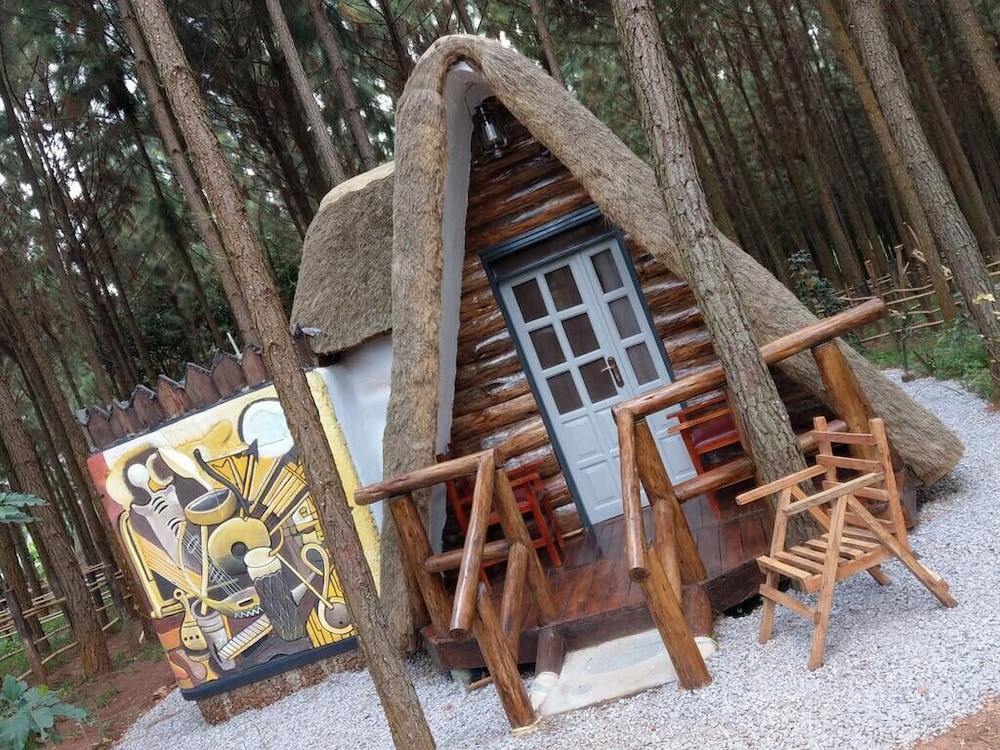 Nyungu Yamawe Forest Park view 2