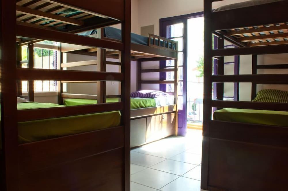 Purple House Hostel