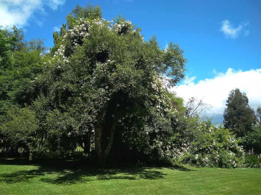 Mairenui Rural Retreat view 2