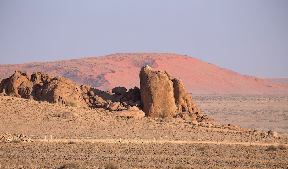 Desert Quiver Camp