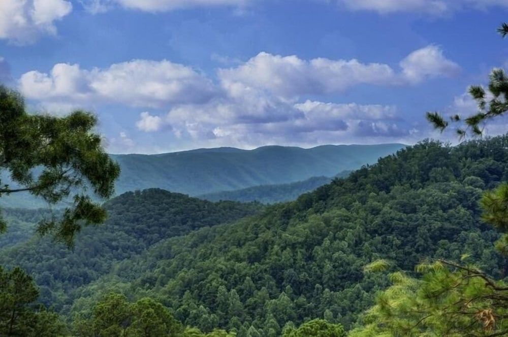 Lazy Bear Lodge - 4 Bedrooms, 4 Baths, Sleeps 14 Home by RedAwning