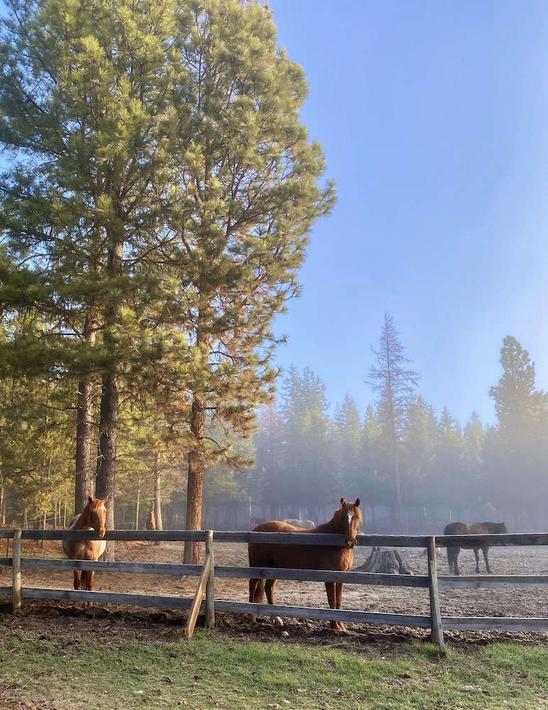 Dream Haven Guest Ranch