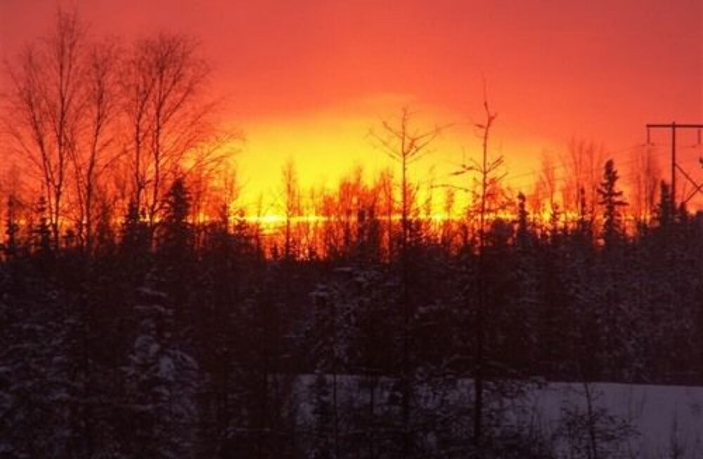 Moose Tracks B  B - Property Image 14