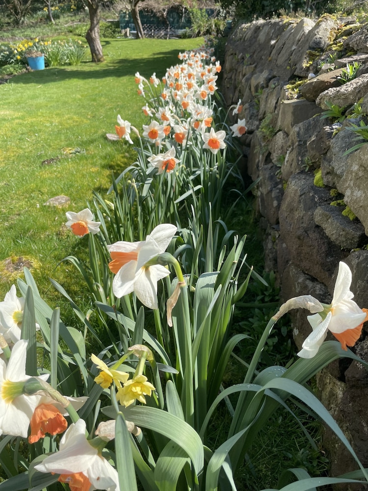 Castlecroft