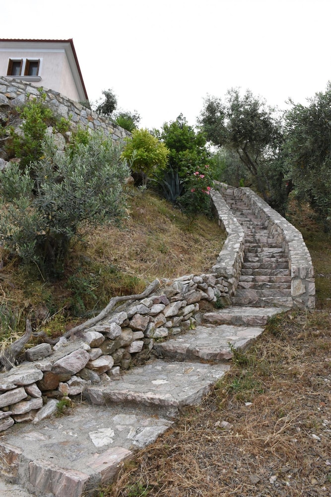 Photo 41