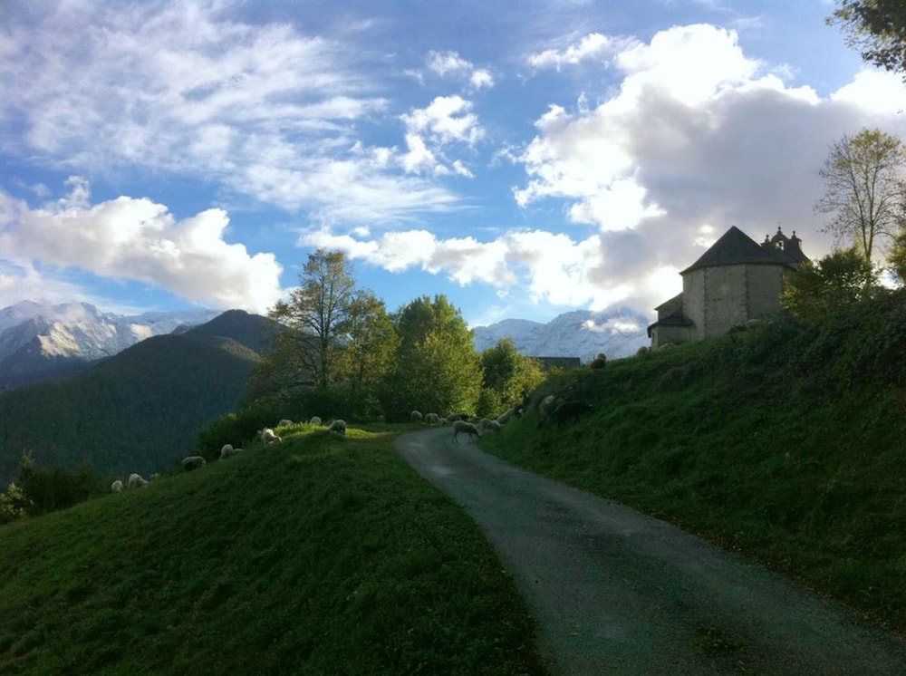 Photo 18