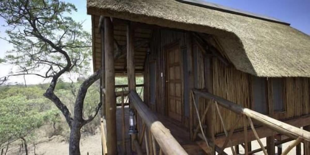 Lion Tree Top Lodge