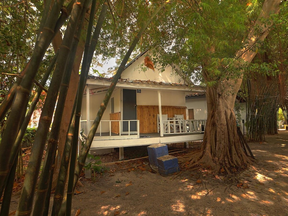Photo 11