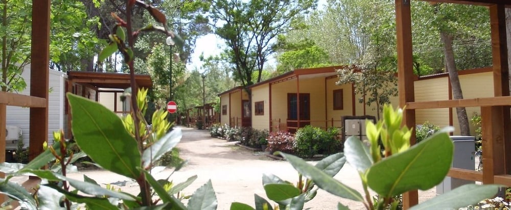 Bosco Verde Camping