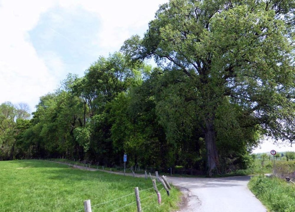 Holiday Home in Bemelen Near Nature Reserve