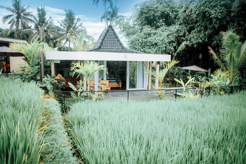 Danela Eco Villas
