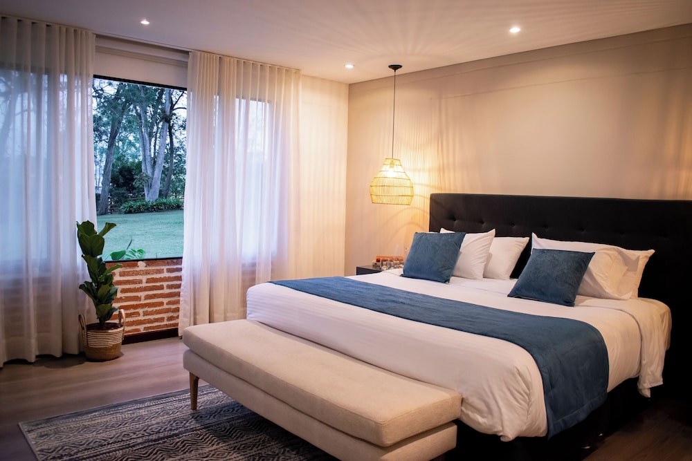 Monarch Campestre