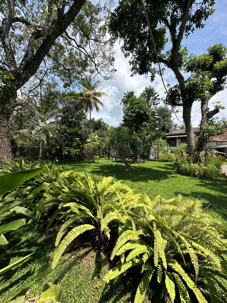Mango Tree Villa