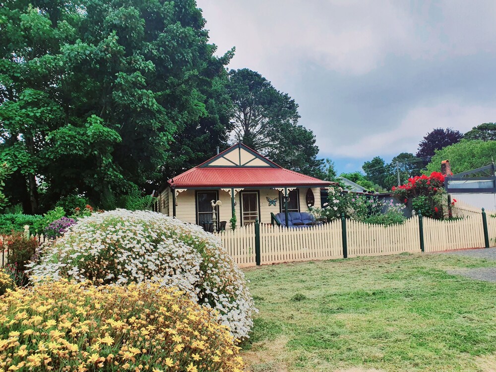 Abelia Cottage of Daylesford Botanical