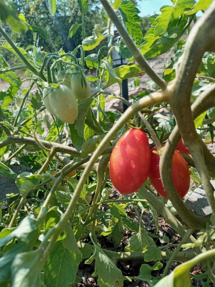 Bote Farms - Agritourism