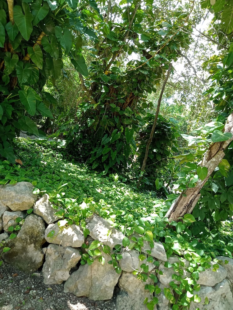 Photo 36