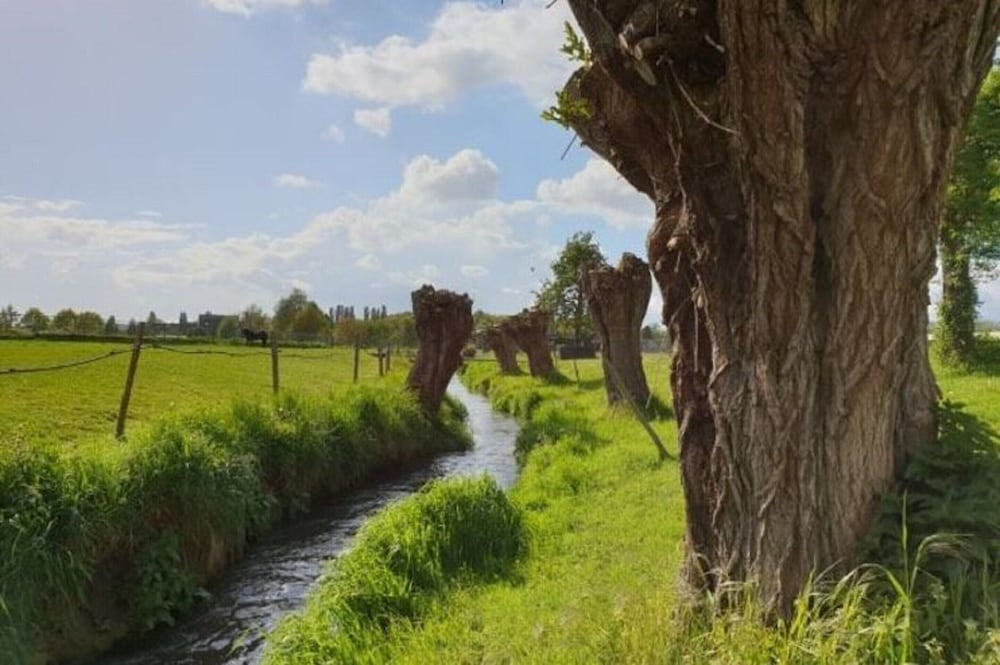 Located Near Maastricht Towards the Belgium Border view 2