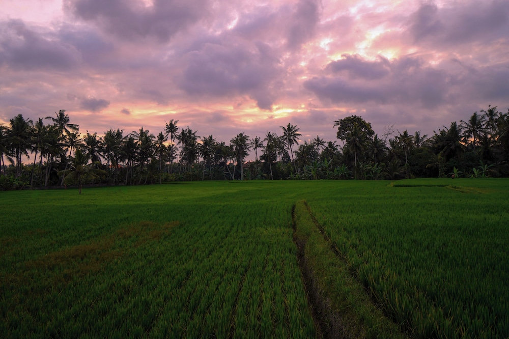 Sierra Vista 1 Ubud