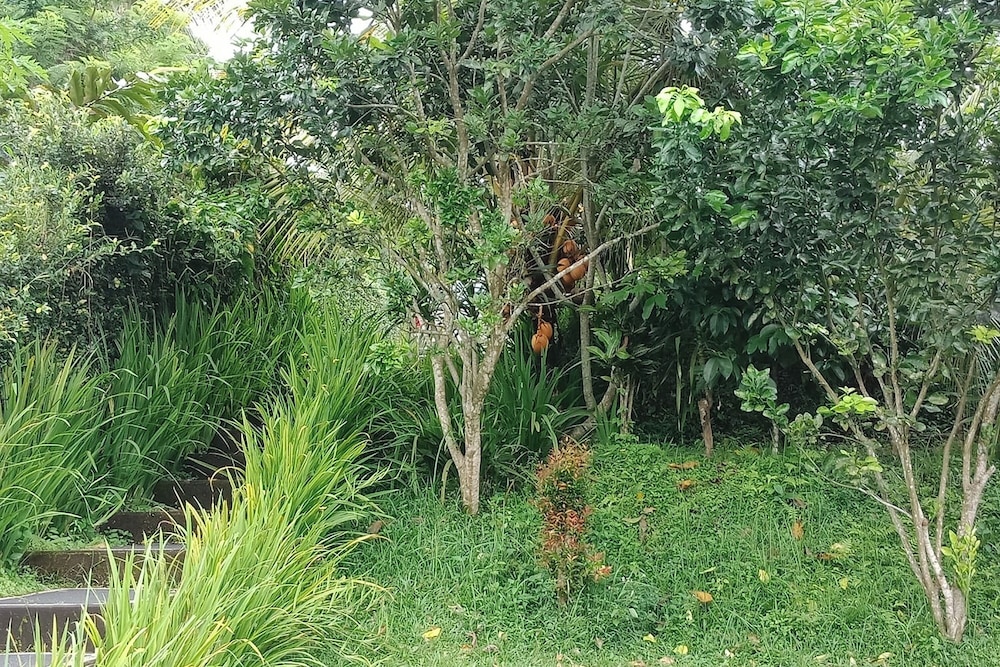 Madesimon Villa, Payangan - 13