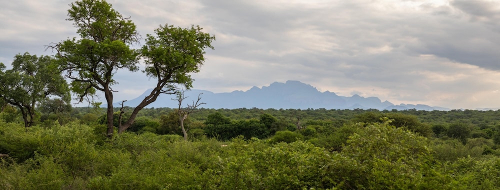 Villa Thornybush Light and Elegantly Designed Villa view 3