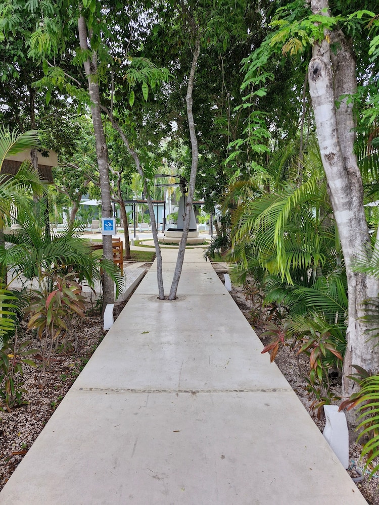 Depa Central Park Tulum & Love
