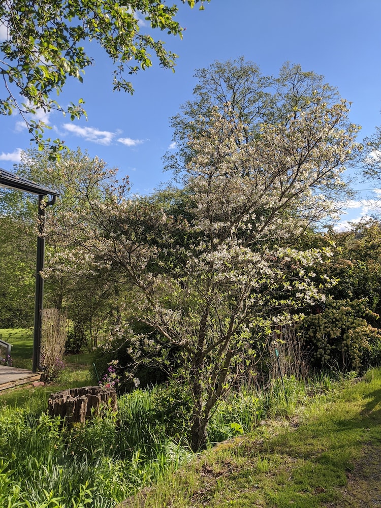 The Anderson Cottage Bed & Breakfast