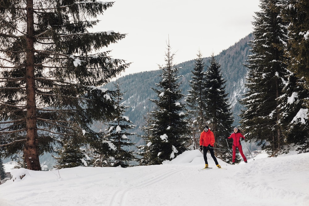 Chalets Valsegg