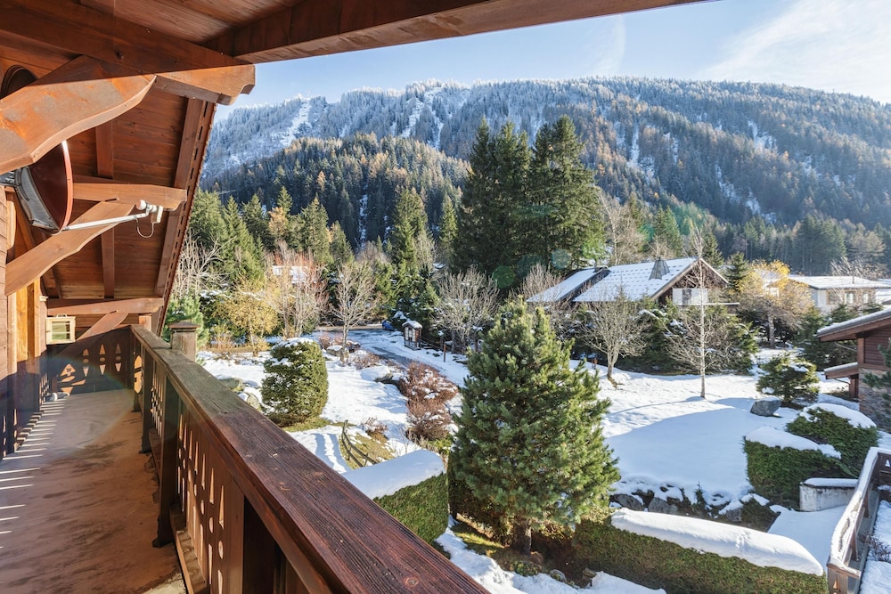 Village des Oursons C