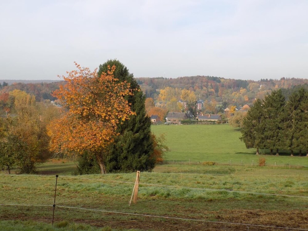 B&B Les Buissonnets de Longchamps