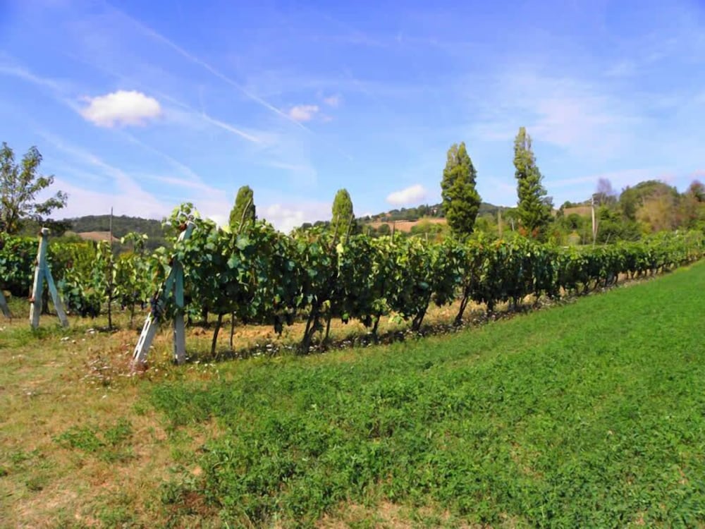 Agriturismo Aurora