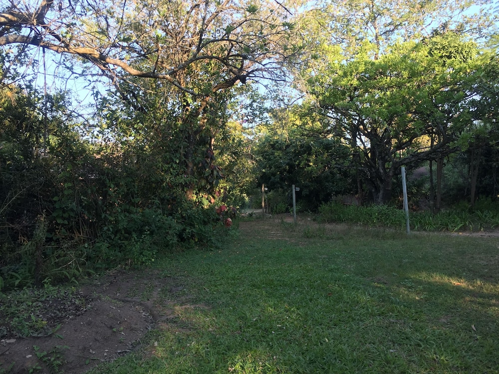 Photo 42