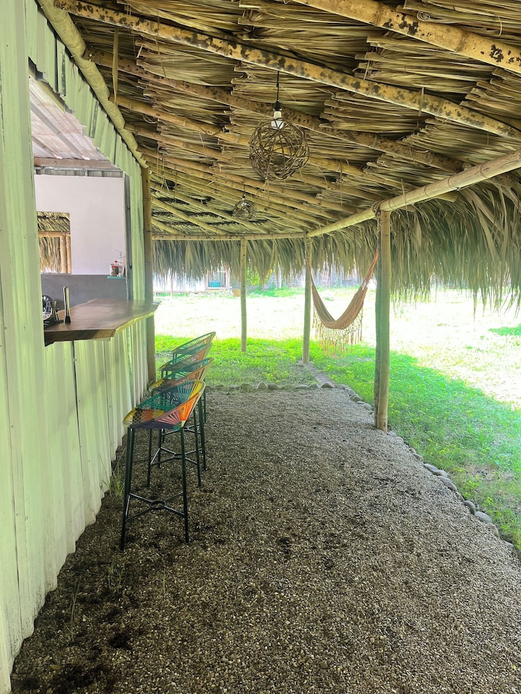 Tree of Life - Hostel