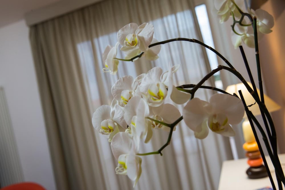 Bed & Breakfast Aria di Mare