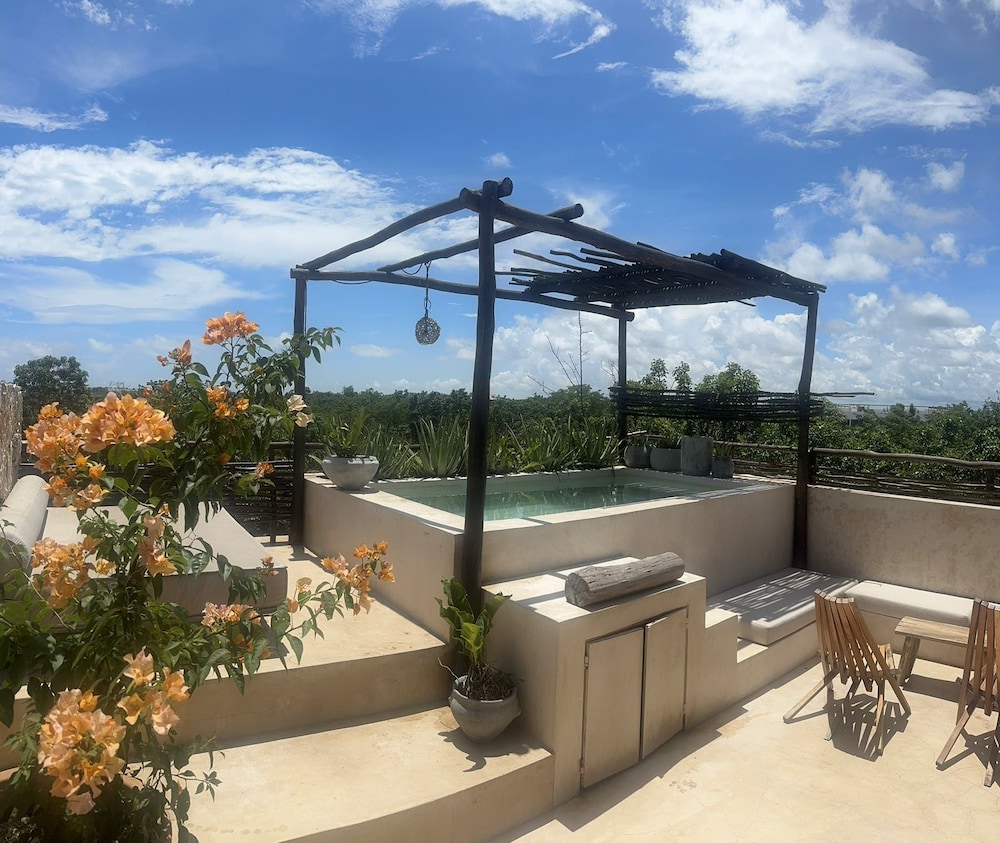 roof