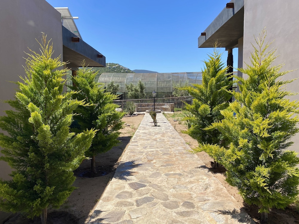 Coquenas del Valle view 3
