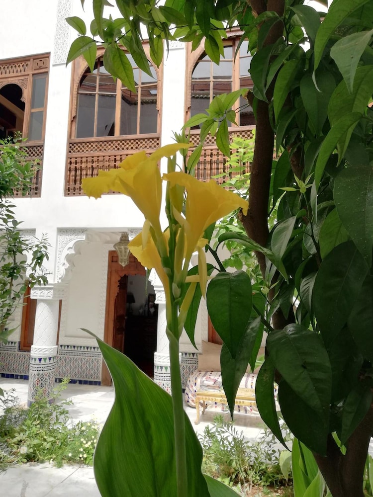 Riad Ben Youssef